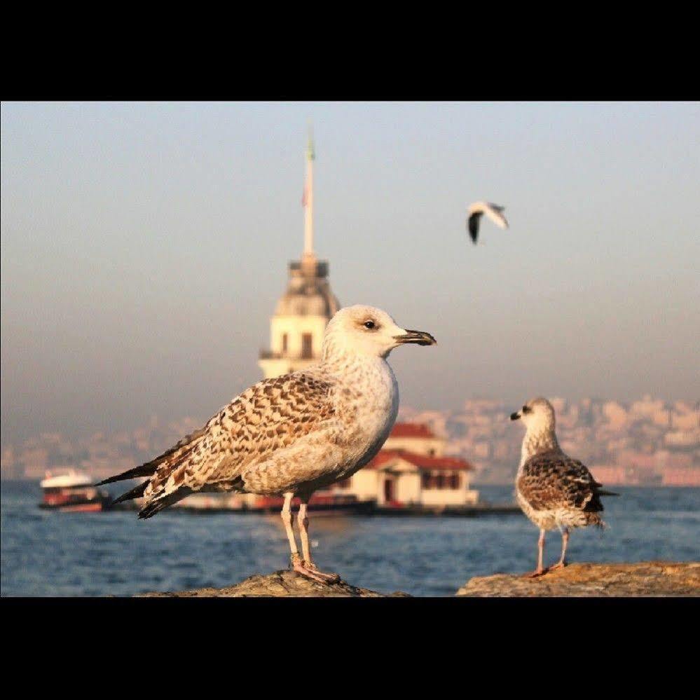 Luxury Grand Bazaar Suites Istanbul Exterior photo